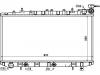 Radiator:21460-59Y00