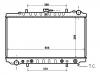 Radiator:21460-74N00