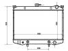 Radiator:21400-09G11