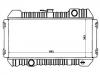 Radiator:21400-19W00