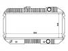 Radiator:21450-10W00