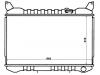 Radiator:21450-22P00